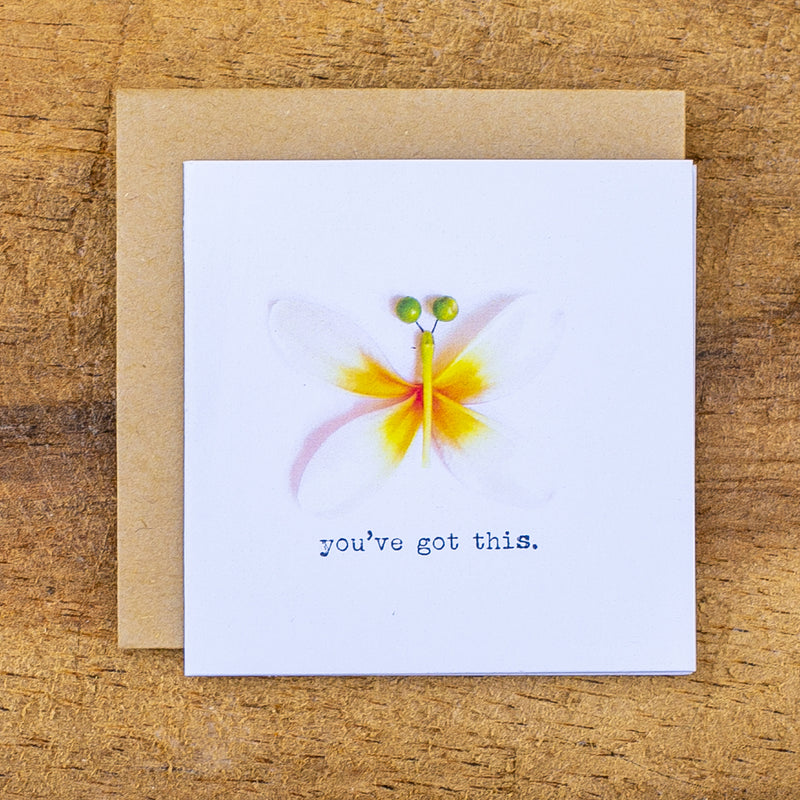 You've Got This - Butterfly Mini Card