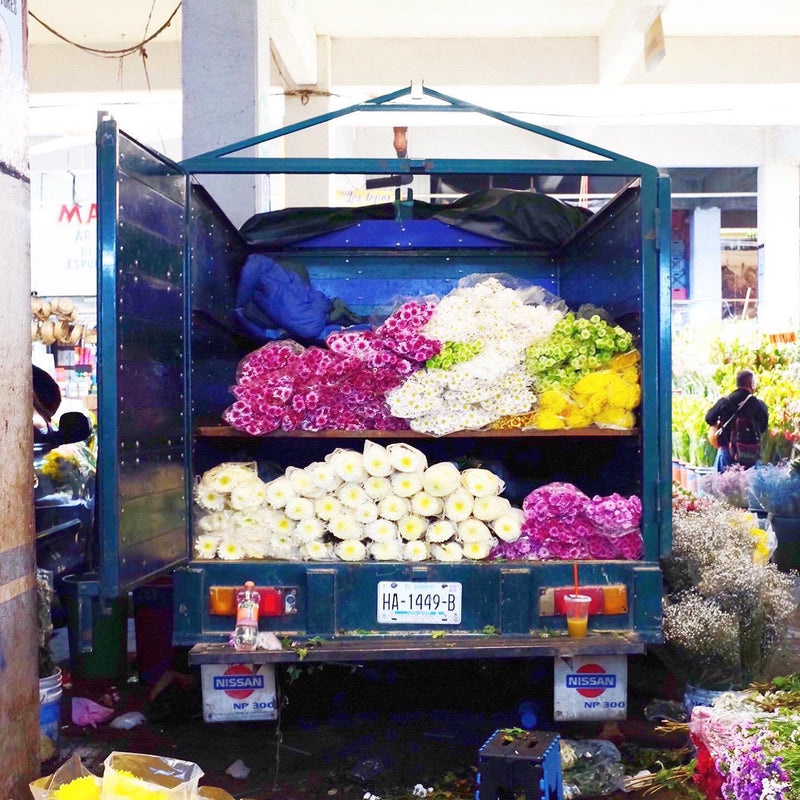 Thank You So Much - Mini Card