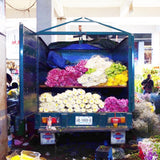 Thank You So Much - Mini Card