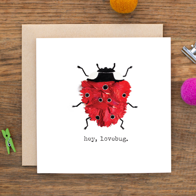 HEY, LOVEBUG MINI CARD